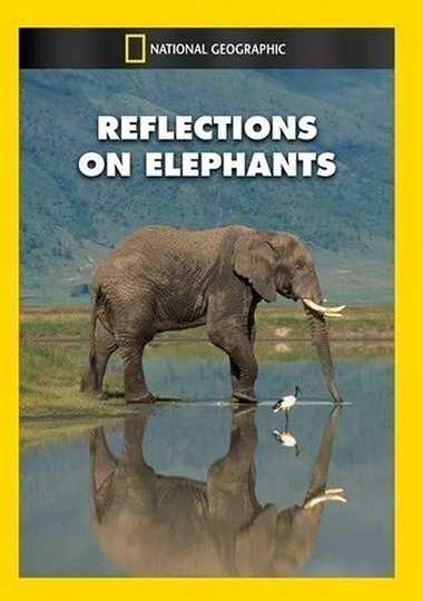 Reflections on Elephants