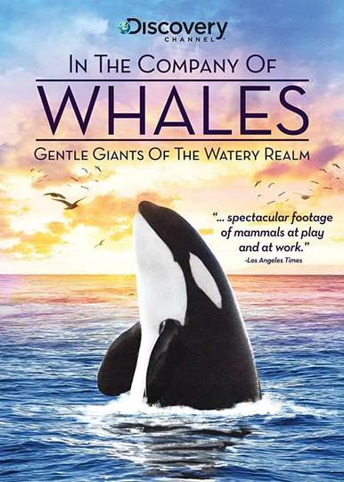 In the Company of Whales Poster