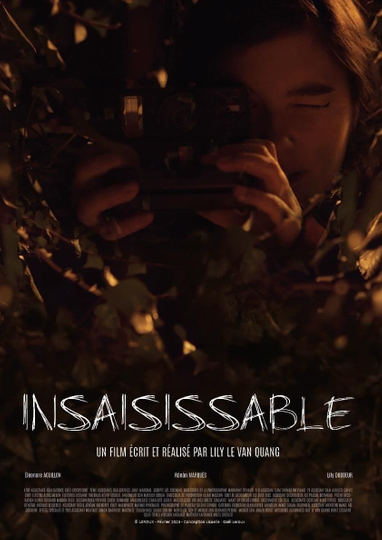 Insaisissable Poster