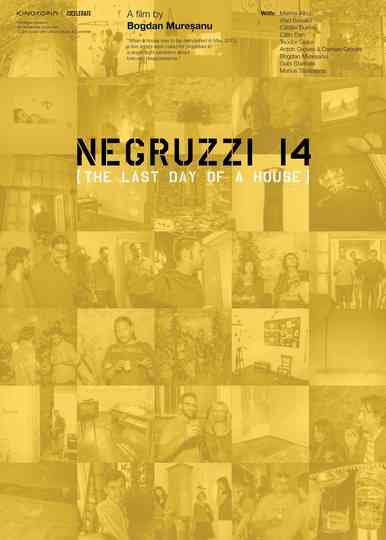 Negruzzi 14
