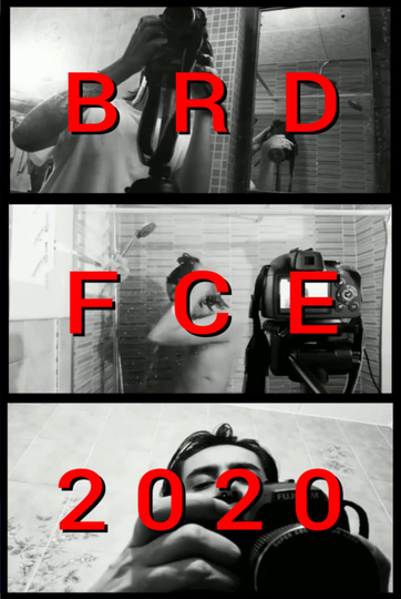 BRDFCE2020