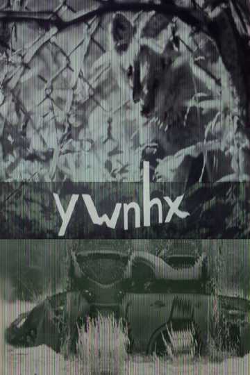 ywnhx