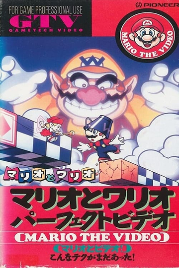 Mario & Wario Perfect Video