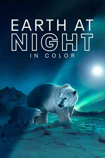 Earth at Night in Colour Poster