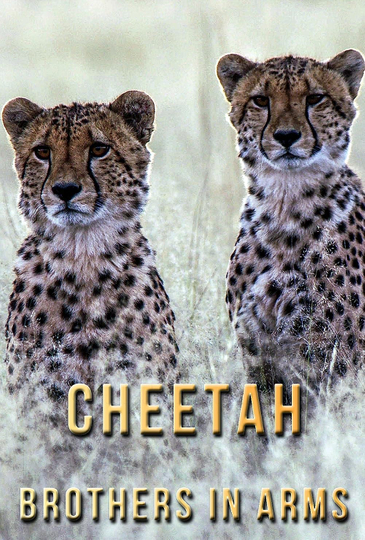 Cheetah Brothers in Arms