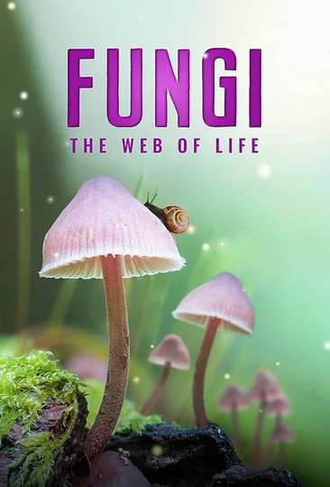 Fungi: The Web of Life Poster