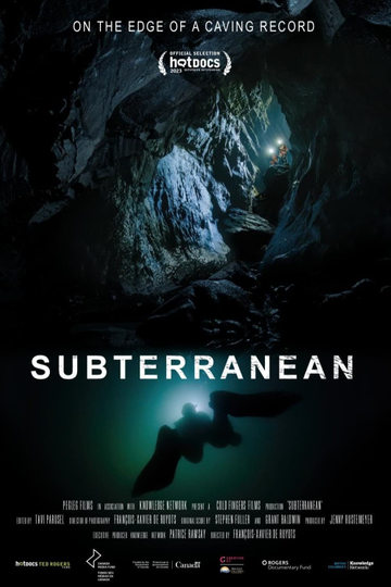 Subterranean Poster