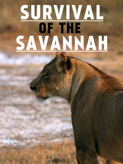 Survival on the Savannah Poster