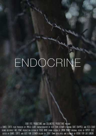 Endocrine Poster