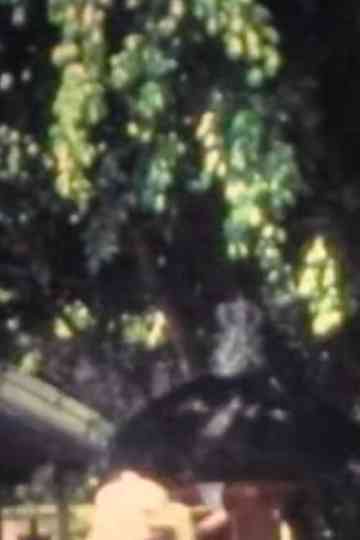 Walking in Bali Poster