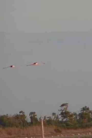 Walking in Sardinia Poster