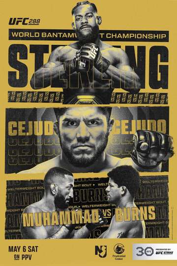UFC 288: Sterling vs. Cejudo Poster