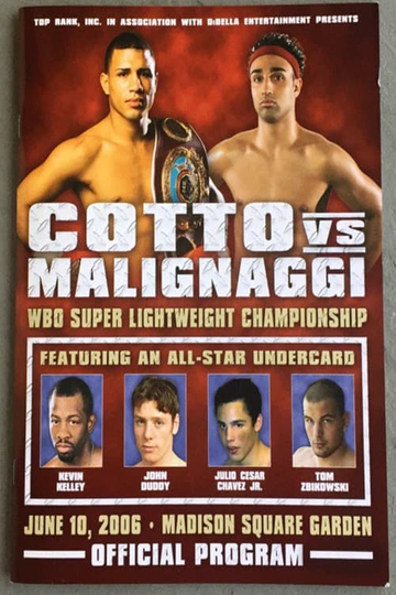 Miguel Cotto vs Paulie Malignaggi