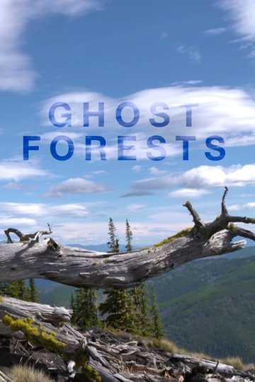 Ghost Forests