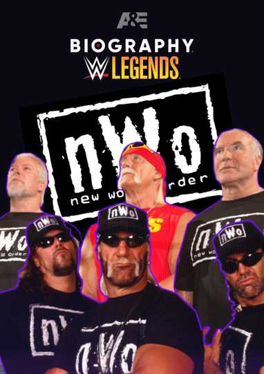 Biography: nWo Poster