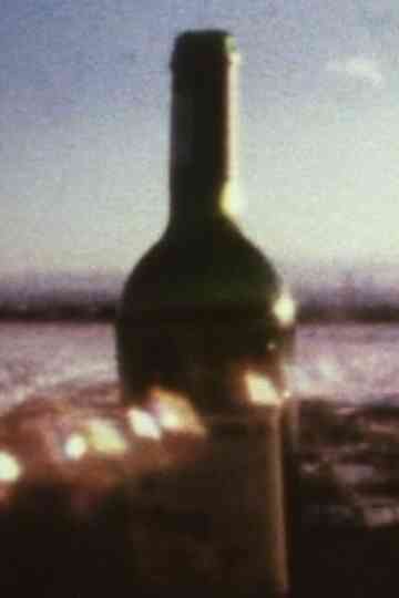 Discrepant Sight Poster