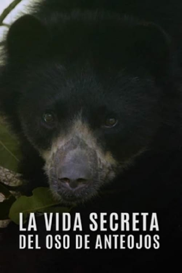 La Vida Secreta del Oso de Anteojos