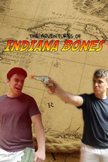 The Adventures of IB Poster