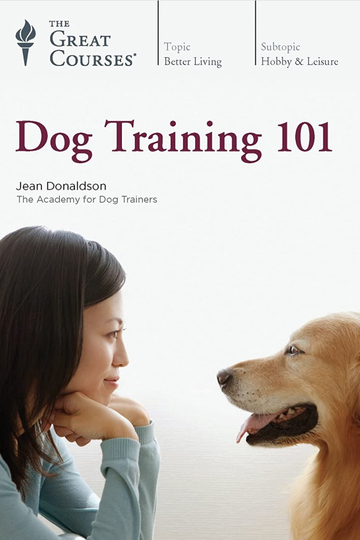 Dog Training 101