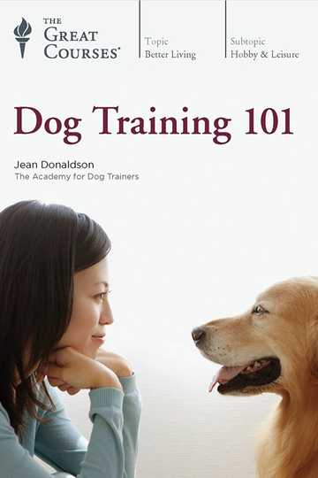 Dog Training 101