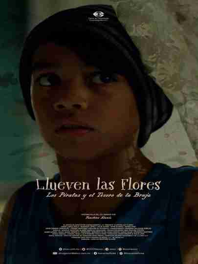 Llueven las flores, los piratas y el tesoro de la bruja Poster