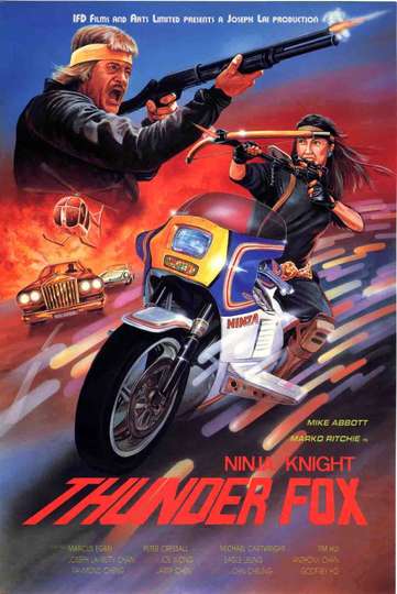 Ninja Knight Thunder Fox Poster