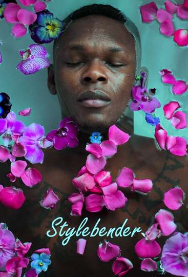 Stylebender (2023) - Movie | Moviefone