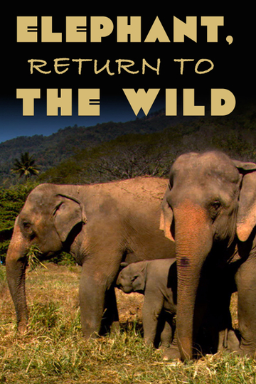 Elephant, Return to the Wild