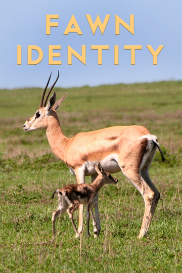 Fawn Identity Poster