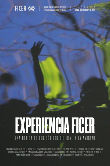 Experiencia FICER