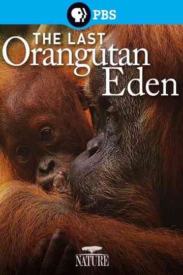 The Last Orangutan Eden