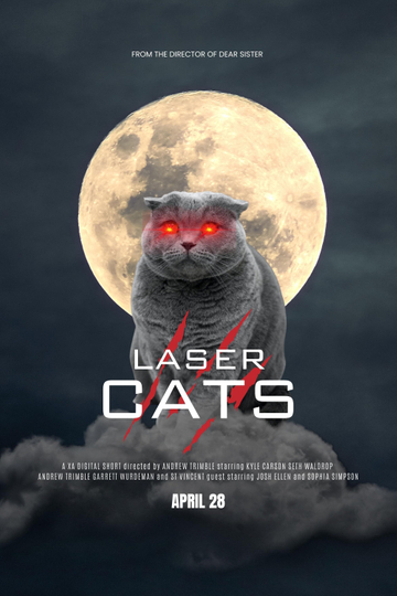 Laser Cats Poster