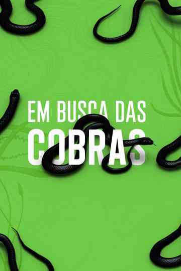 Rato, Vini and Snakes