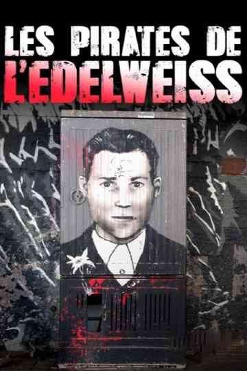 Edelweißpiraten - Teenager gegen Hitler Poster