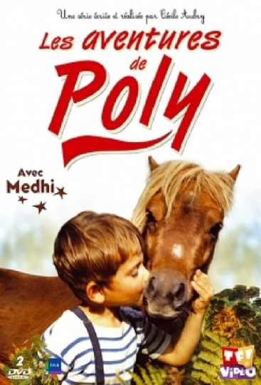 Poly Poster