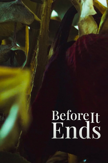 Before It Ends Poster