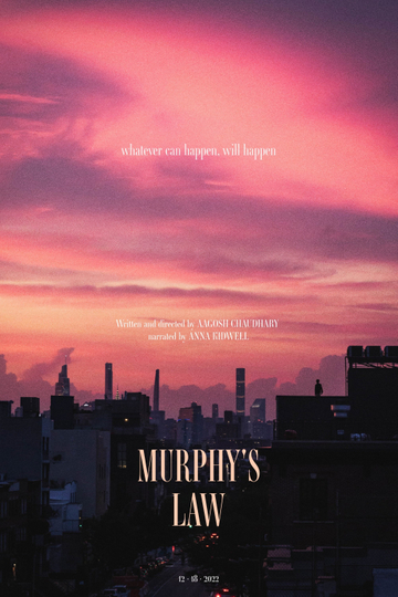 Murphy's Law Poster