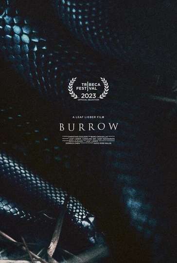 Burrow Poster