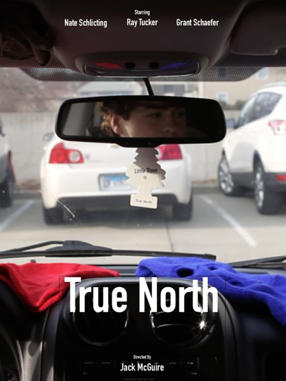 True North Poster