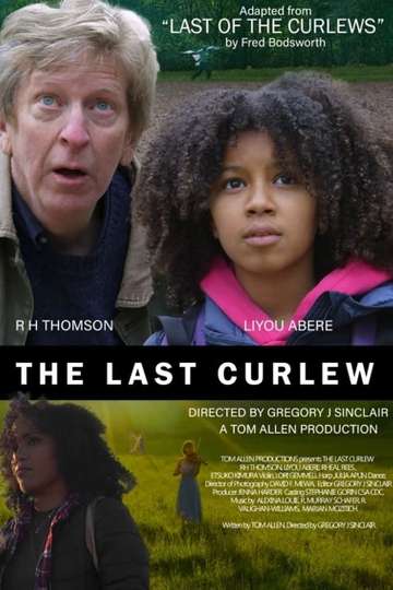 The Last Curlew Poster