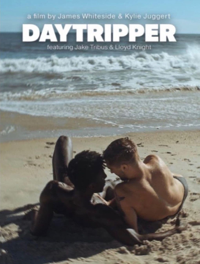 Daytripper Poster