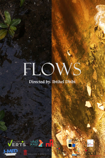 Flows Poster