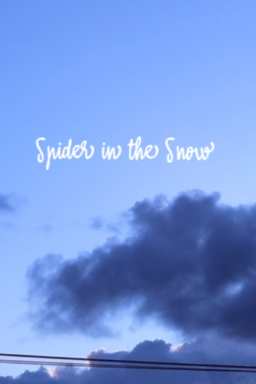 Spider in the Snow