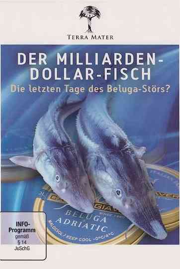 Der Milliarden-Dollar-Fisch