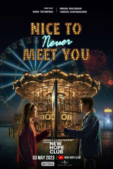 Nice To Never Meet You Poster