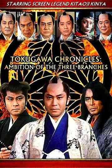 Tokugawa Chronicles: Ambition of the 3 Branches Poster
