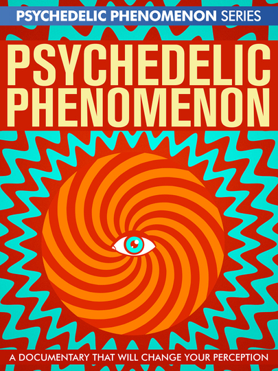 Psychedelic Experiences Poster