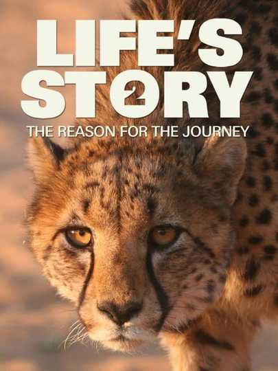 Life's Story 2: The Reason For The Journey