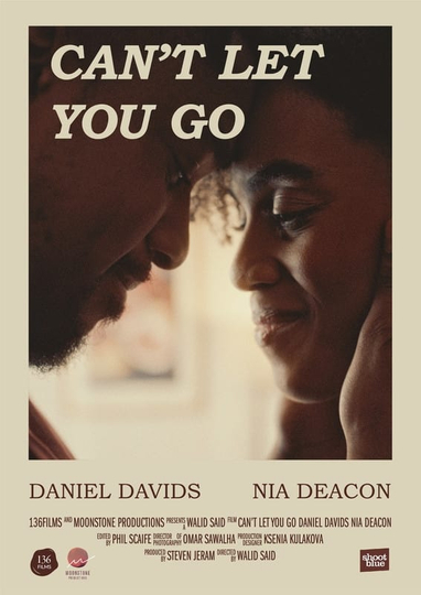 Can't Let You Go Poster