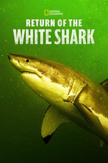 Return of the White Shark Poster